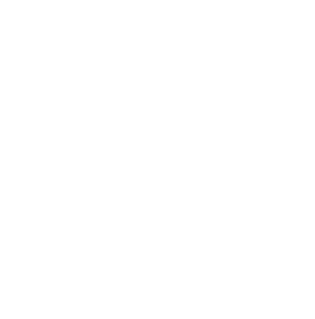 EU funding disclaimer