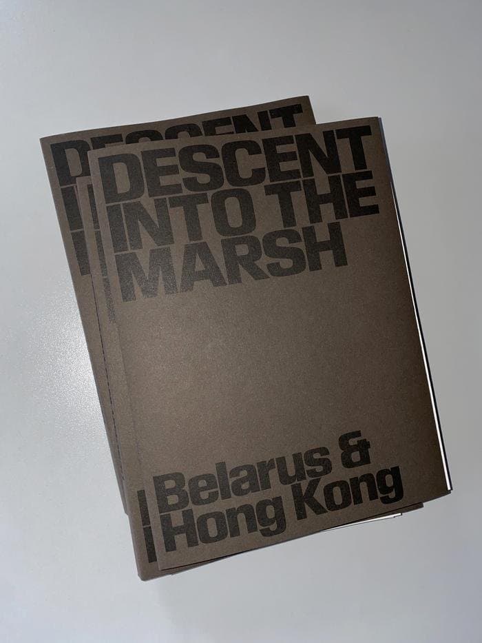 Descent-into-the-marsh_15