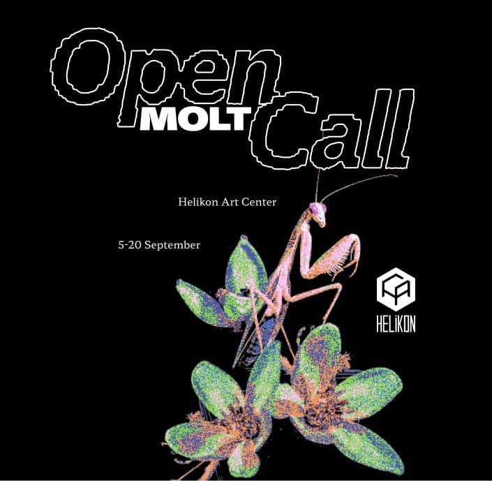 Cover for MOLT — мастацкая рэзідэнцыя пра пошук уласнай формы