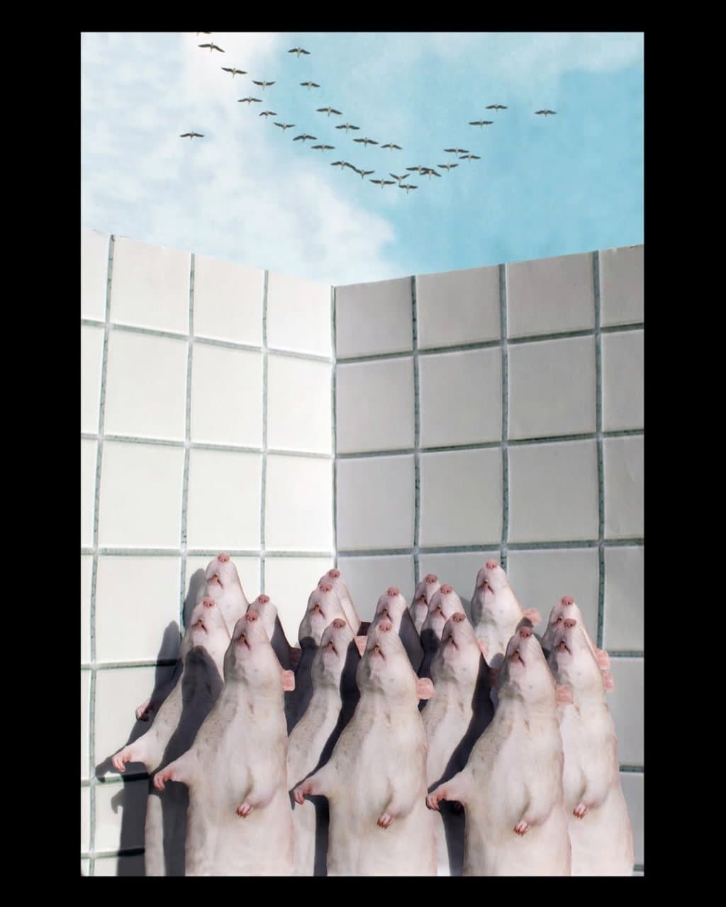 photo_2025-10-23_18-58-36