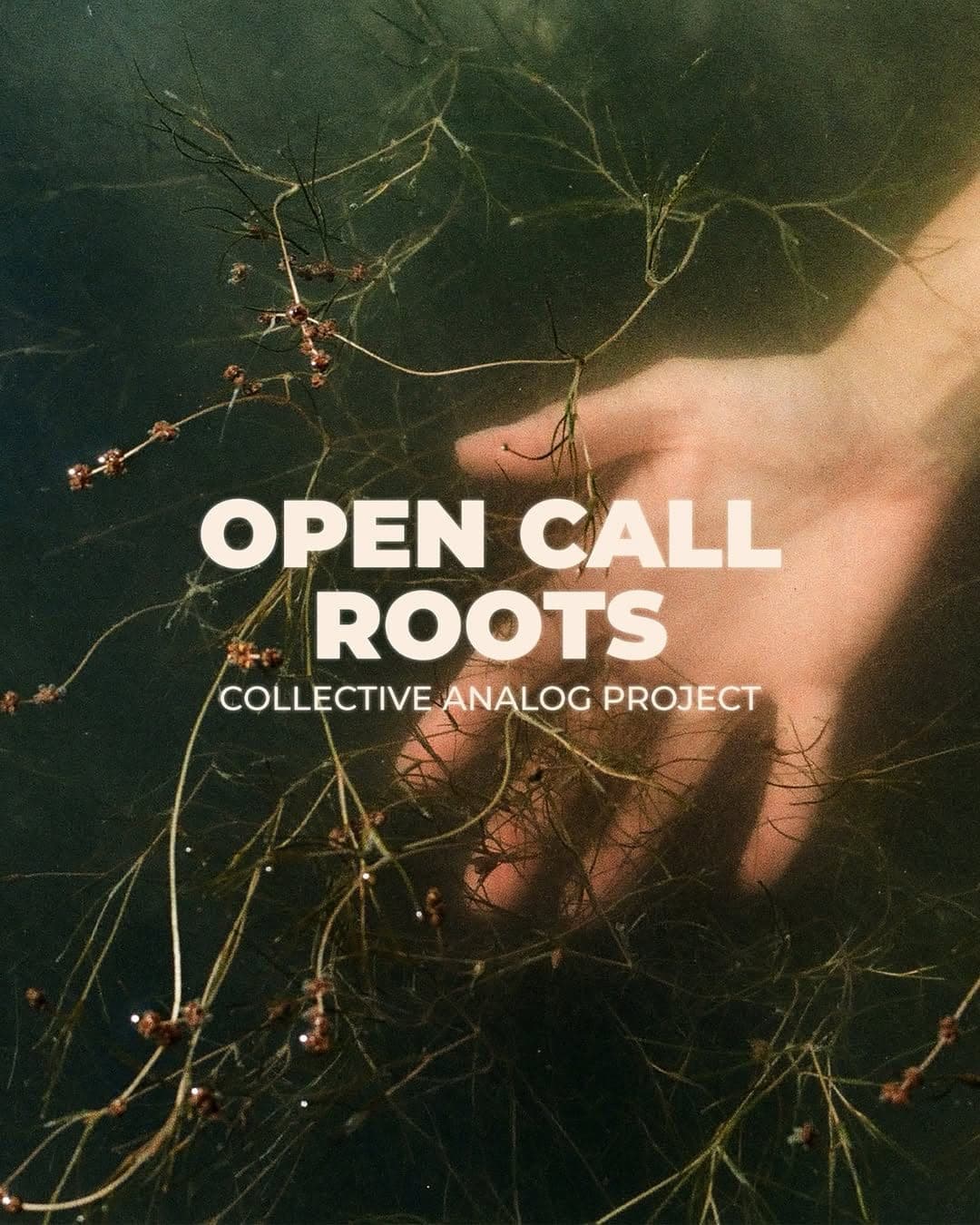Cover for Open call для аналагавых фатографаў «Roots»