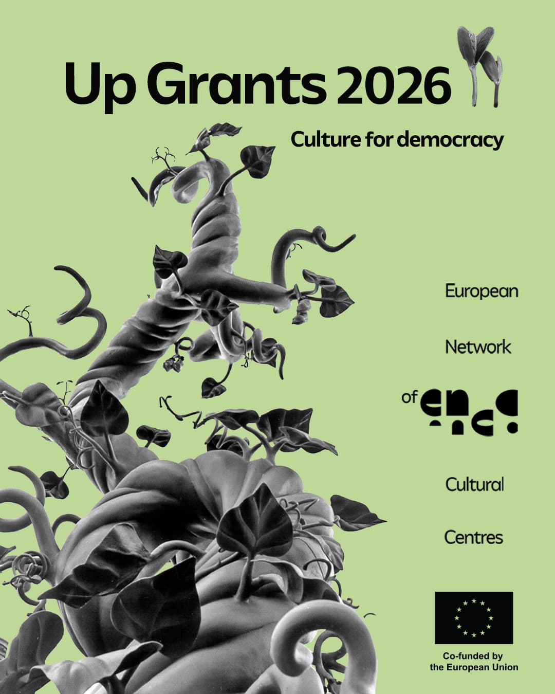 Up Grants Culture for Democracy